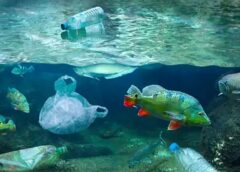 Cinco empresas son responsables del 24% de la contaminación plástica mundial
