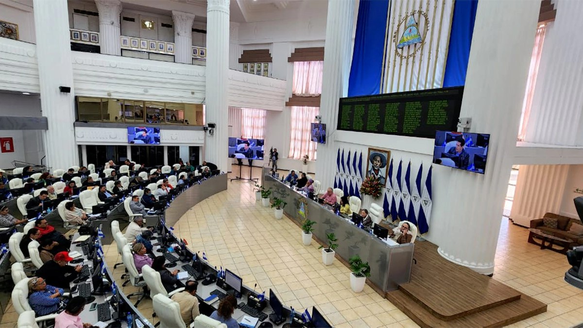 Asamblea Nacional impulsa producción del cacao fino de Nicaragua a nivel internacional