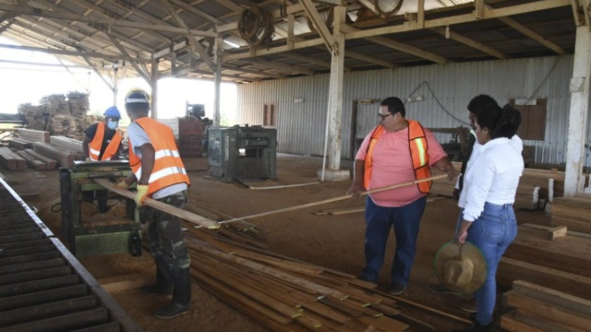 MARENA impulsa industria innovadora de madera sumergida en la Costa Caribe