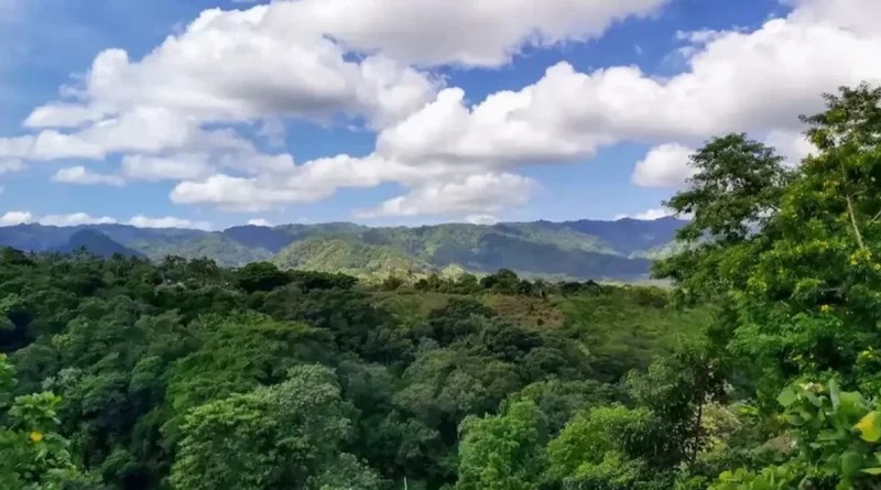 Vientos moderados y altas temperaturas prevalecerán en Nicaragua
