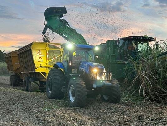 Producción de azúcar supera 15 millones de quintales