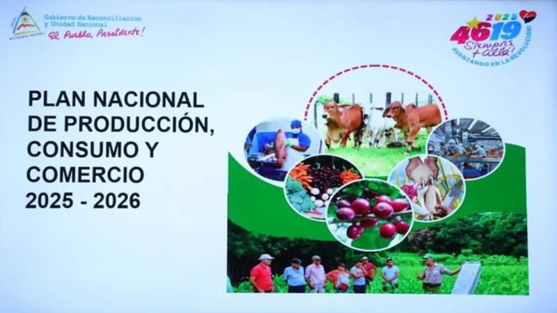 Nicaragua consolida su desarrollo productivo con el Plan Nacional de Producción 2025–2026
