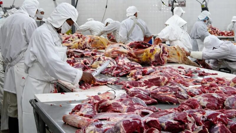 Producción de carne bovina alcanza 110.7 millones de libras a marzo de 2026