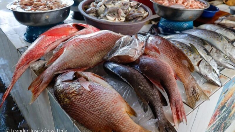 Venta de mariscos superó expectativas de comerciantes