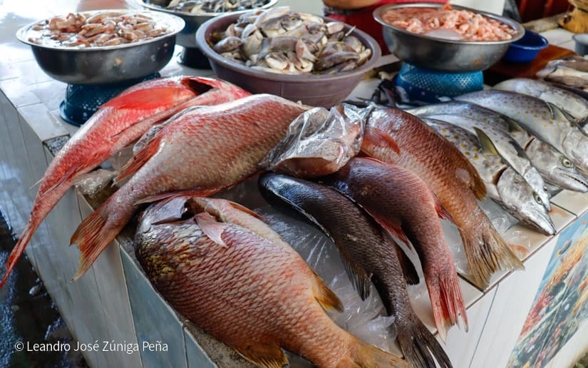 Venta de mariscos superó expectativas de comerciantes