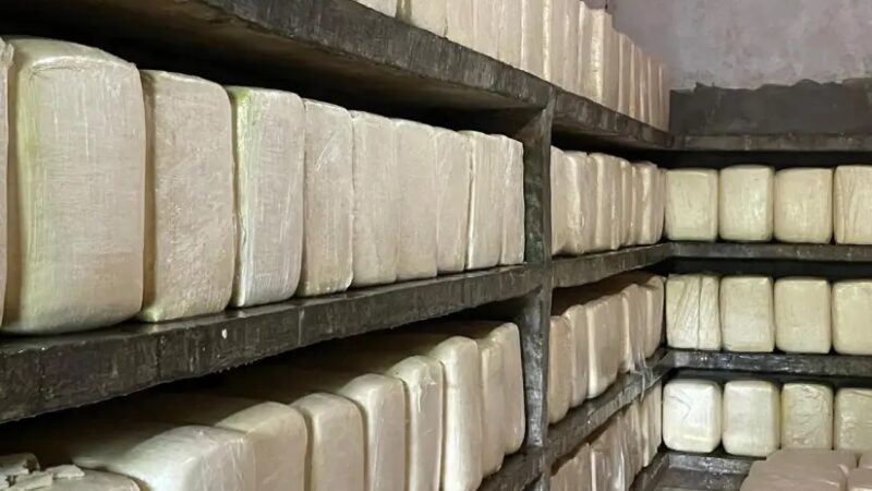 Sector lácteo nicaragüense alcanza 58.5 millones de libras en producción de quesos y cuajada