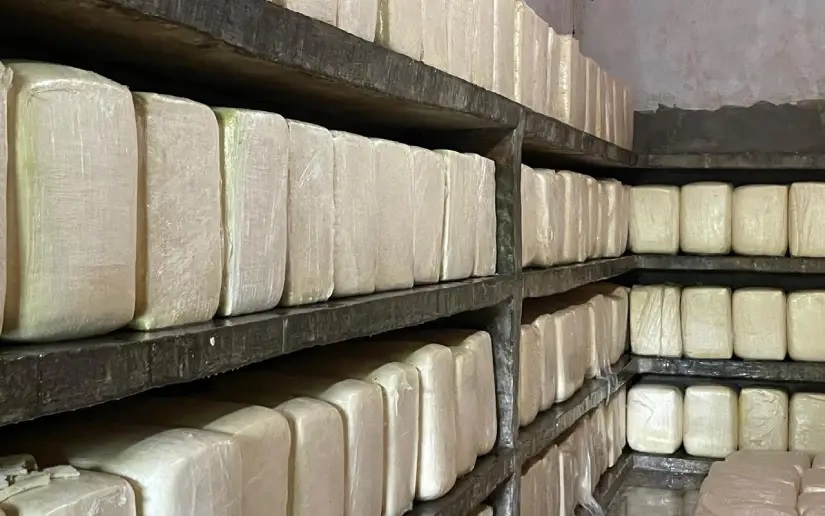 Sector lácteo nicaragüense alcanza 58.5 millones de libras en producción de quesos y cuajada