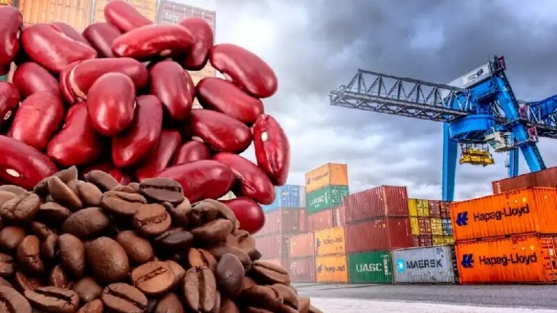 Nicaragua Exporta 2026 impulsará la oferta exportable y la diversificación de mercados internacionales