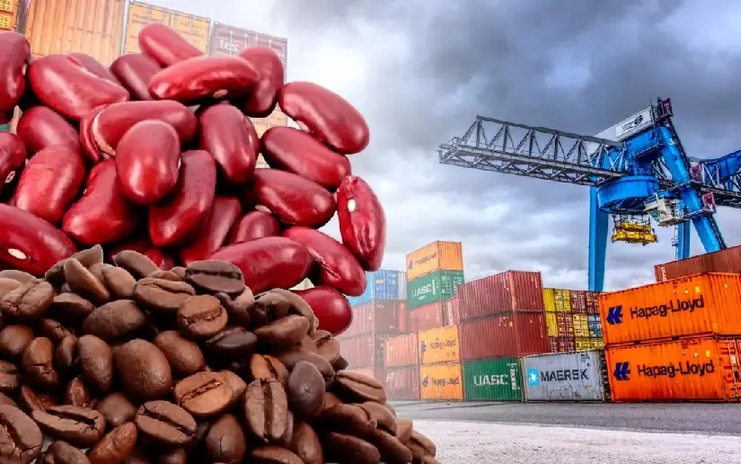 Nicaragua Exporta 2026 impulsará la oferta exportable y la diversificación de mercados internacionales